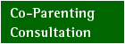 Co-Parenting Consultation